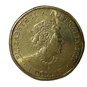 2020 Donation Dollar Give to Help Others