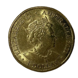 2021 Donation Dollar Give to Help Others