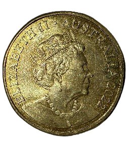 2022 Surfing “S”