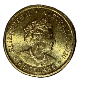 2020 Australia Olympic Team Resilience