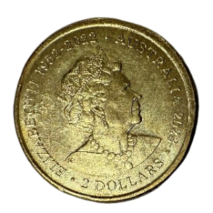 2023 Elizabeth II 1952-2022 Matildas Est. 1978 (yellow)