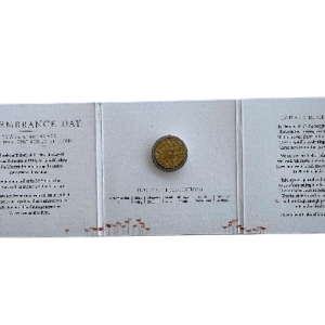 2015 Remembrance Day coloured uncirculated coin