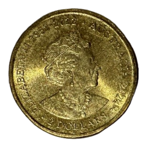 2024 1952-2022 National Rugby League Women’s Premier Ship (blue)