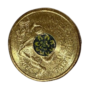 2024 Australian Paralympic team