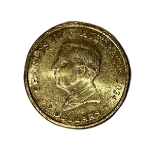 2024 Australian Paralympic team