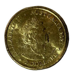 2021 Henry the Octopus