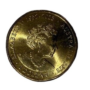 2023 Australia Women’s National Football Team